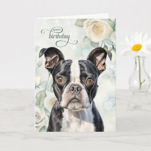 Boston Terrier Dog with White Roses Birthday Card
