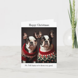 Boston Terrier Dogs in Christmas Sweaters Card