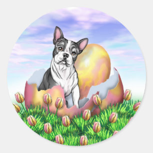 Boston Terrier Easter Surprise Sticker