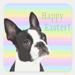 Boston Terrier Easter Wishes Pastel Stickers