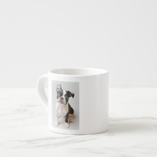 Boston Terrier Espresso Cup