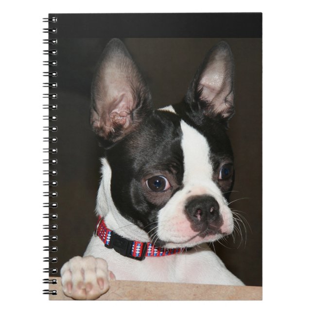 Boston Terrier face Spiral Notebook (Front)