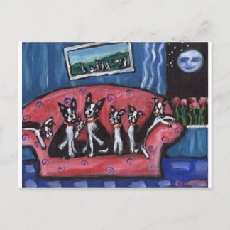 Boston Terrier family sofa Postcard