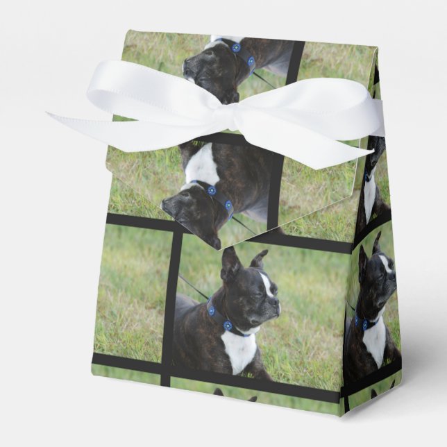 Boston Terrier Favour Box (Front Side)