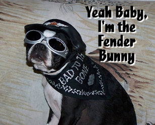 Fender Bunny Gifts On Zazzle Nz