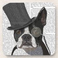 Boston Terrier, Formal Hound and Hat