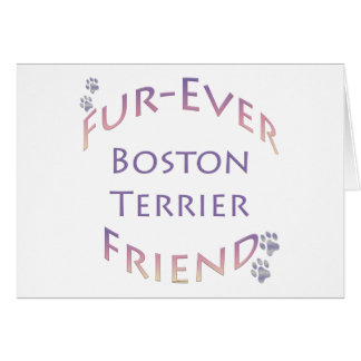 Boston Terrier Furever