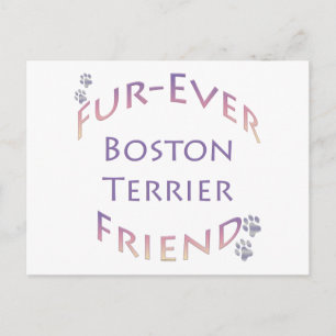 Boston Terrier Furever Postcard