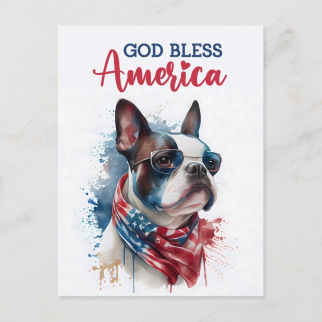 Boston Terrier, God Bless America Postcard (Front)