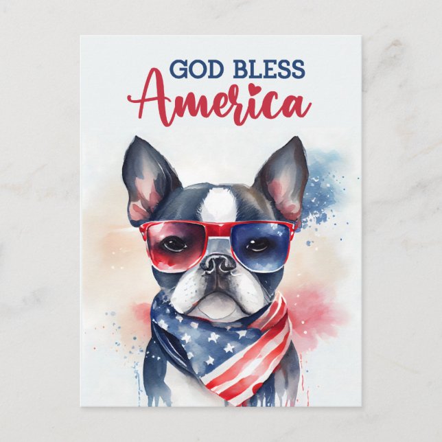 Boston Terrier, God Bless America Postcard (Front)