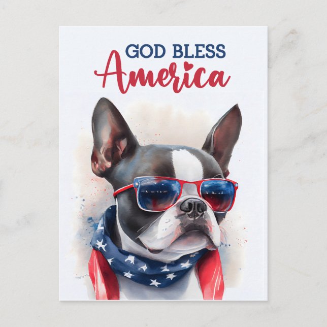 Boston Terrier, God Bless America Postcard (Front)