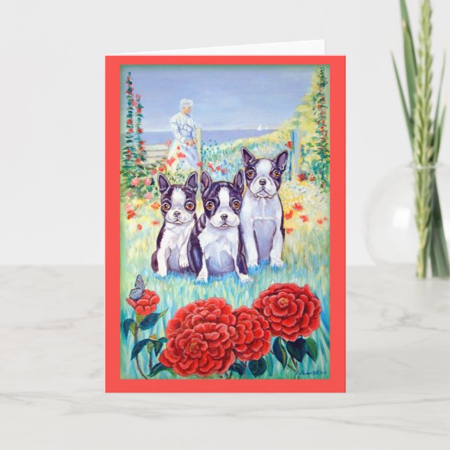 Boston Terrier Greeting Cards (Front)