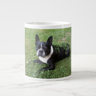 boston terrier gumbo mug
