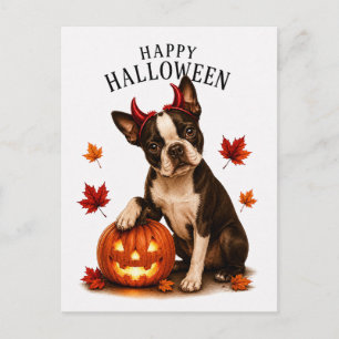 Boston Terrier Halloween Postcard