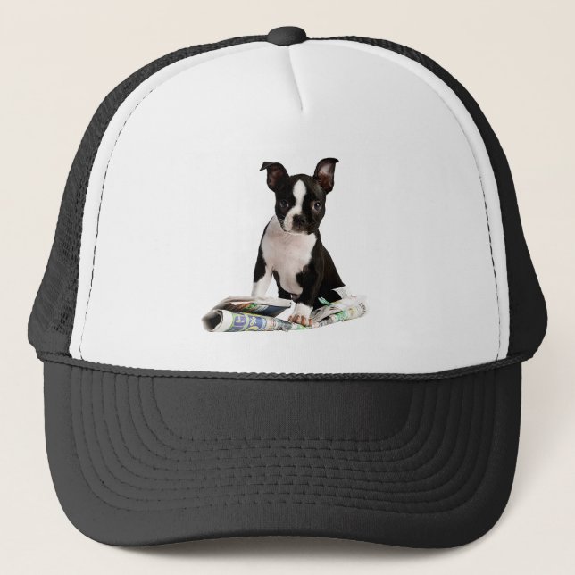 Boston Terrier Hat (Front)