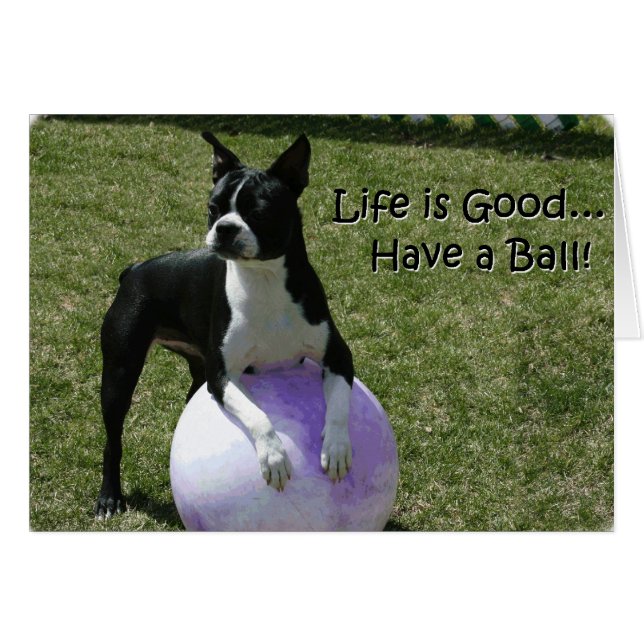 Boston Terrier:  Have a Ball! (Front Horizontal)