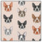 Boston Terrier Heads fabric - cute dogs