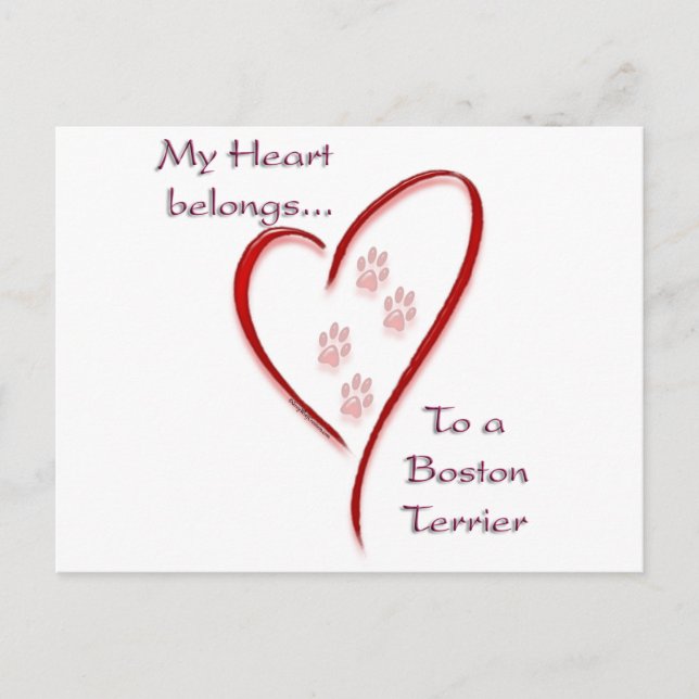 Boston Terrier Heart Belongs Postcard (Front)
