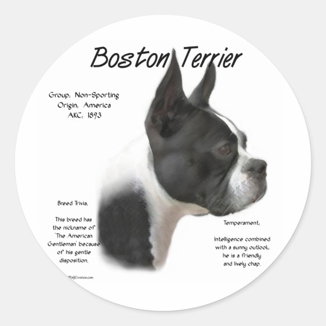 Boston Terrier History Design Classic Round Sticker (Front)