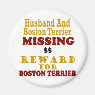 Boston Terrier  & Husband Missing Reward For Bosto Magnet
