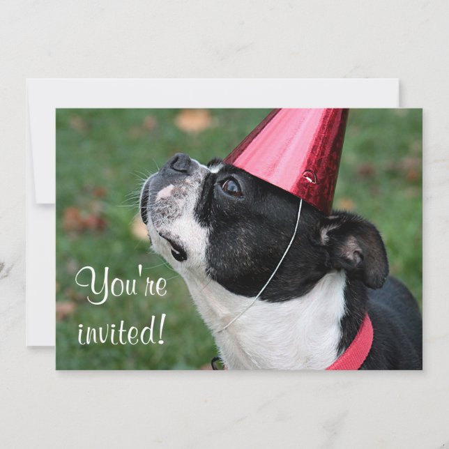 Boston Terrier Invitation (Front)
