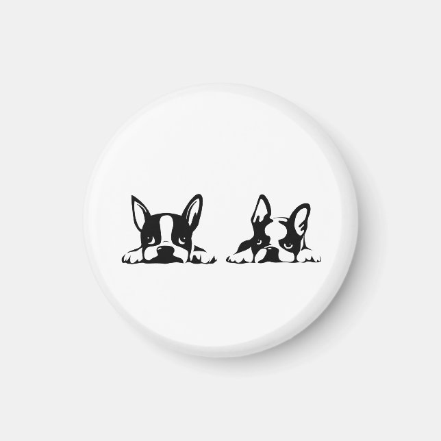 BOSTON TERRIER KOTARO & TEN TEN MAGNET (Front)