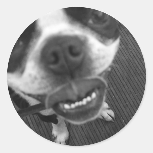 Boston Terrier Lips Classic Round Sticker (Front)