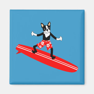 Boston Terrier Longboard Surfer Magnet