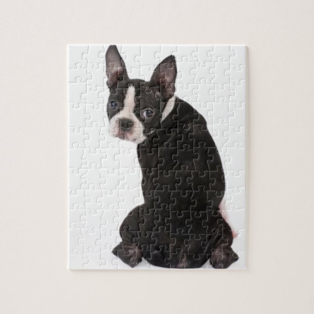 Boston Terrier Looking at You Puzzle with Gift Box (Vertical)