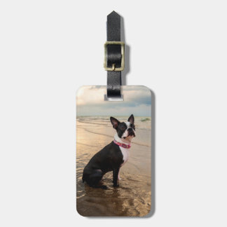 Boston Terrier luggage tag