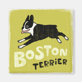 Boston Terrier Magnet