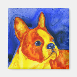 Boston Terrier Magnet - "Golden Boy"