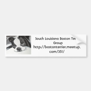 Boston Terrier Meetup Group Bumper Sticker