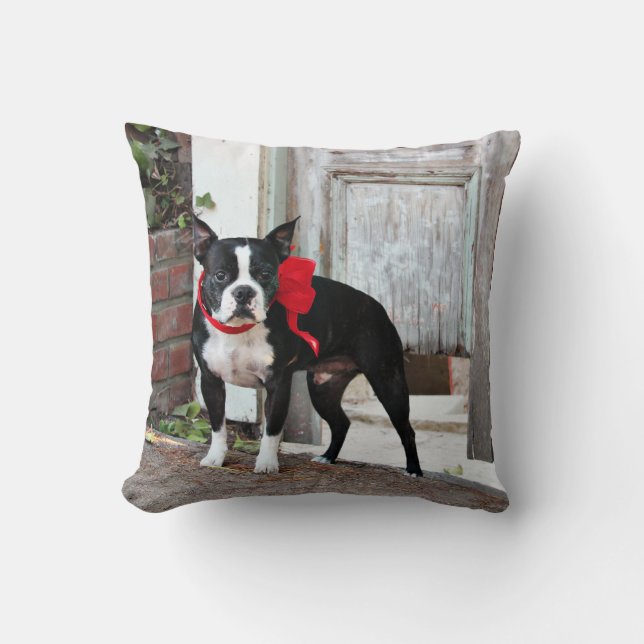 Boston Terrier - Miles Cushion (Front)