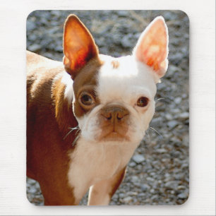 Boston Terrier Mouse Pad