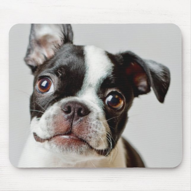 Boston Terrier Mouse Pad (Front)