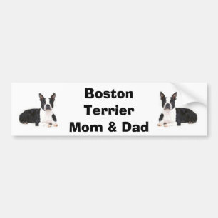 Boston Terrier Mum & Dad Bumper Sticker