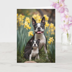 Boston Terrier Mum Mother’s Day Love Card