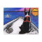 Boston Terrier Nautical Boat Sunset Off-Leash Art™