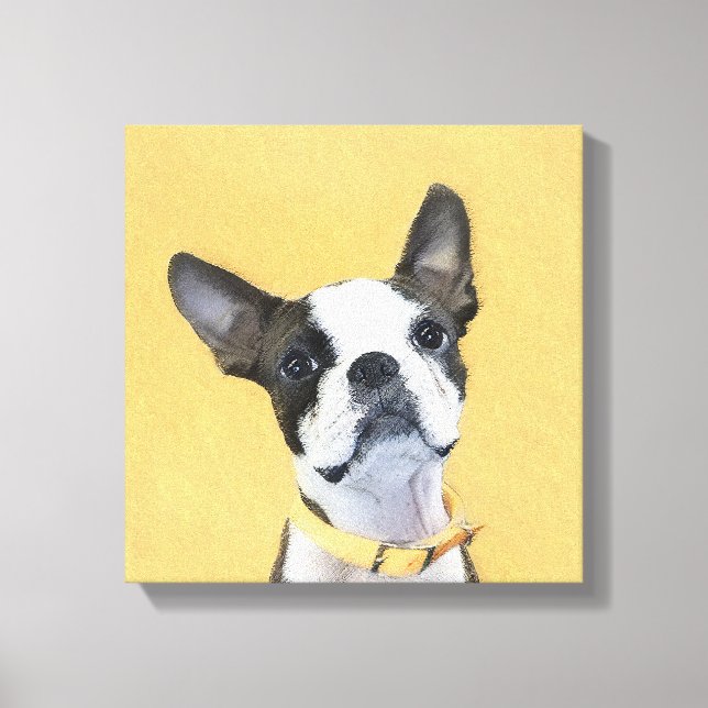 Boston Terrier Painting - Cute Original Dog Art Canvas Print (Front)
