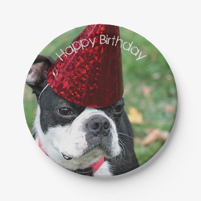 Boston Terrier Paper Plate (Front)