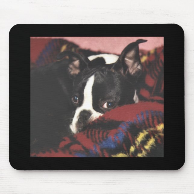 Boston Terrier:  Peek-a-Boo Mouse Pad (Front)