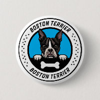 Boston Terrier Peeking Illustration Badge