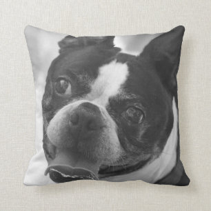 Boston terrier photo cushion