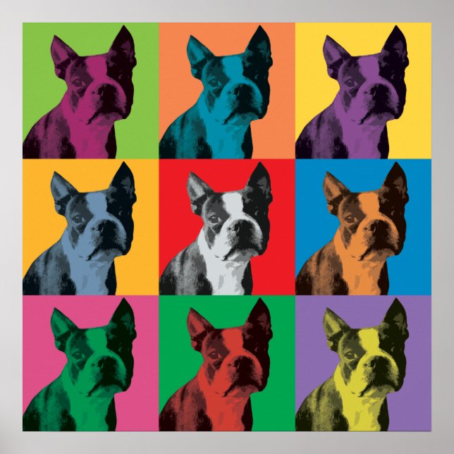Boston Terrier Pop-Art Poster (Front)