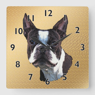 Boston Terrier Portrait Square Wall Clock