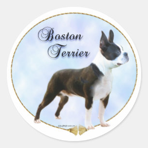 Boston Terrier Portrait Sticker