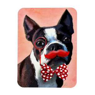 Boston Terrier Portrait with Red Bow Tie and 2 Magnet