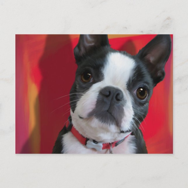 Boston Terrier Post Card (Front)