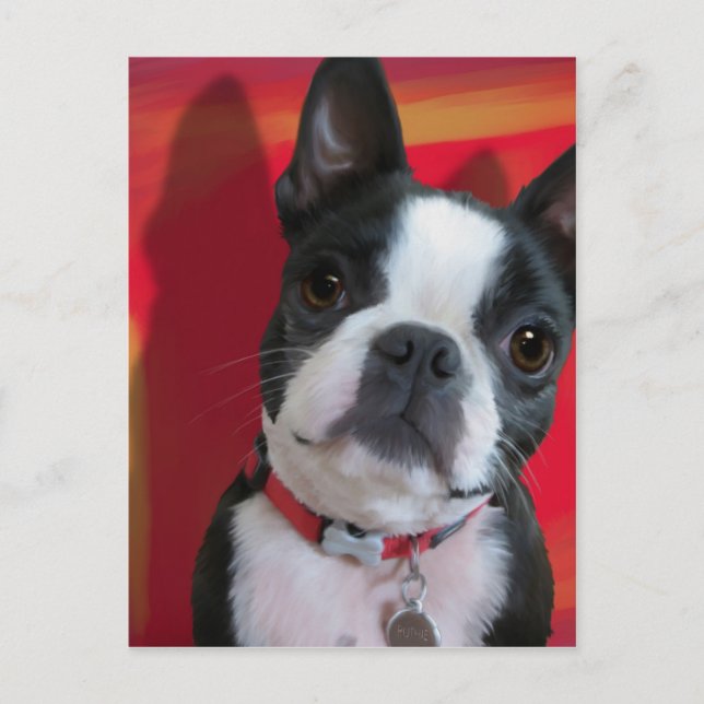 Boston Terrier Post Card (Front)
